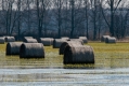 040_Biebrza - kwiecien 2011
